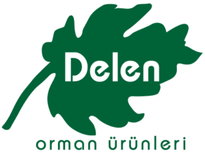 DELEN Logo