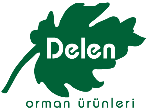 DELEN Logo